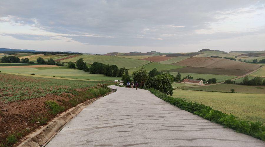 camino2 scaled