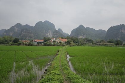 tam coc 6