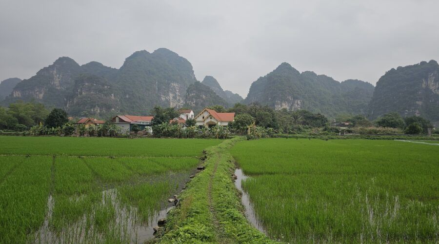 tam coc 6