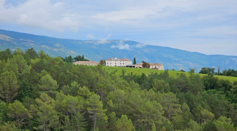 Belaj