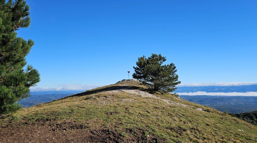 Vrh Ostrič