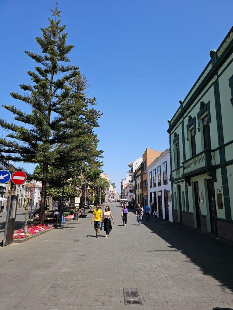 La Laguna 2