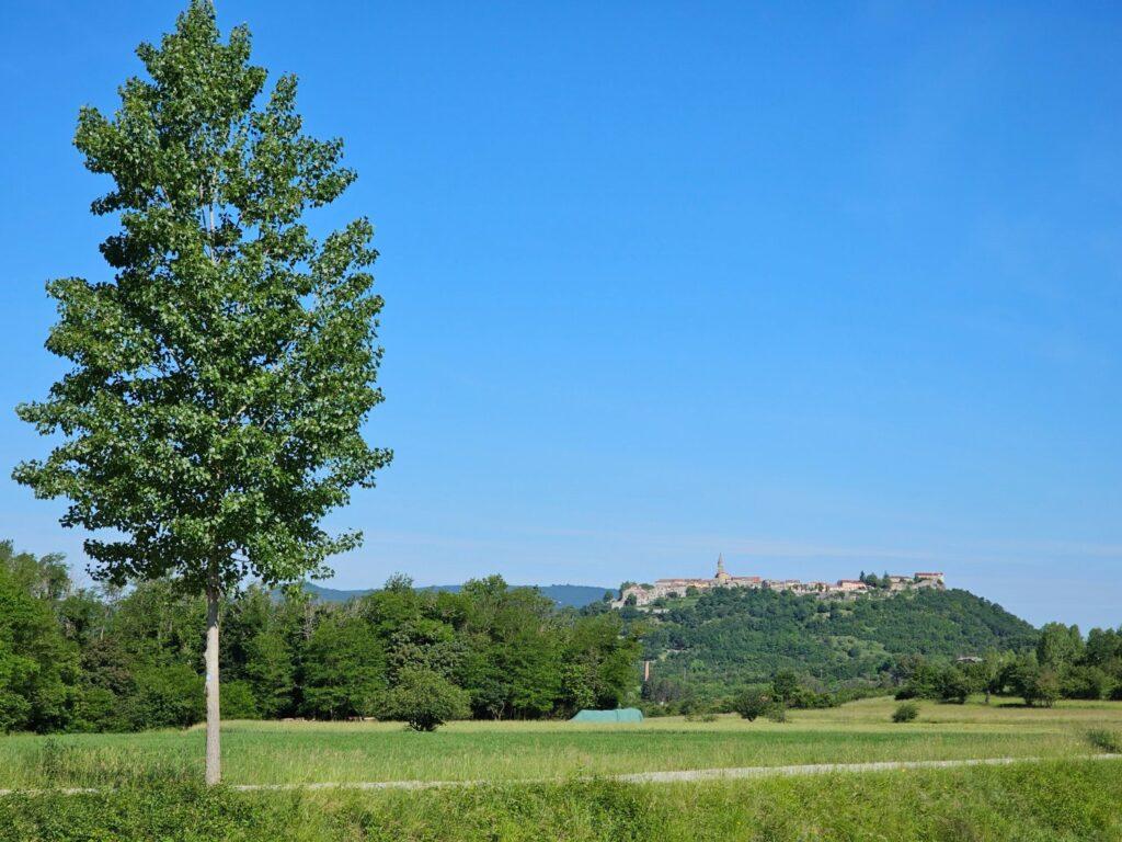 Pogled na Buzet