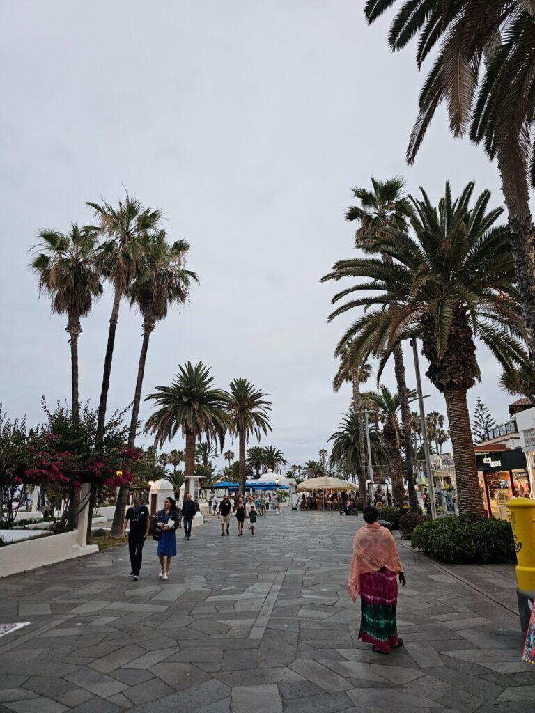 Puerto de la Cruz