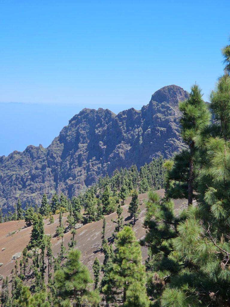 Teide NP 2