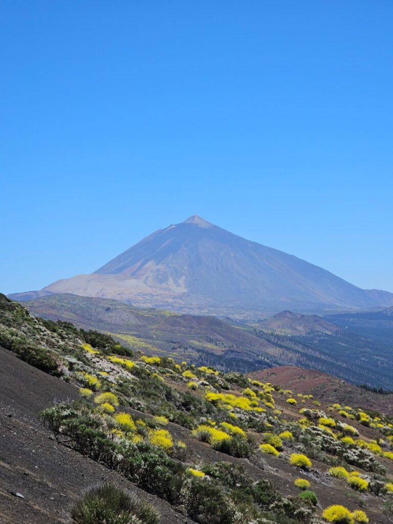 Teide NP 3