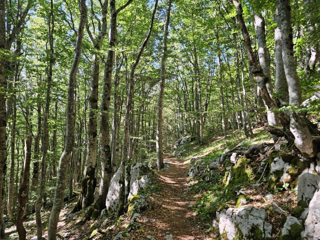 Dio premužićeve staze