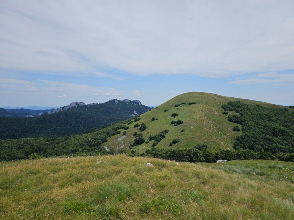 Pogled na Goljak