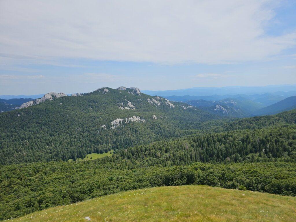 Vrh Goljak panorama