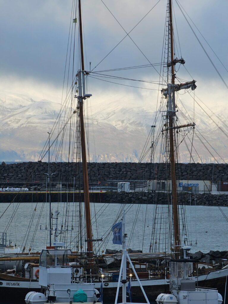 8 Husavik