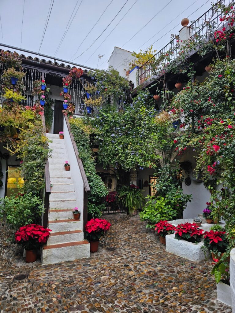Ruta de Patios