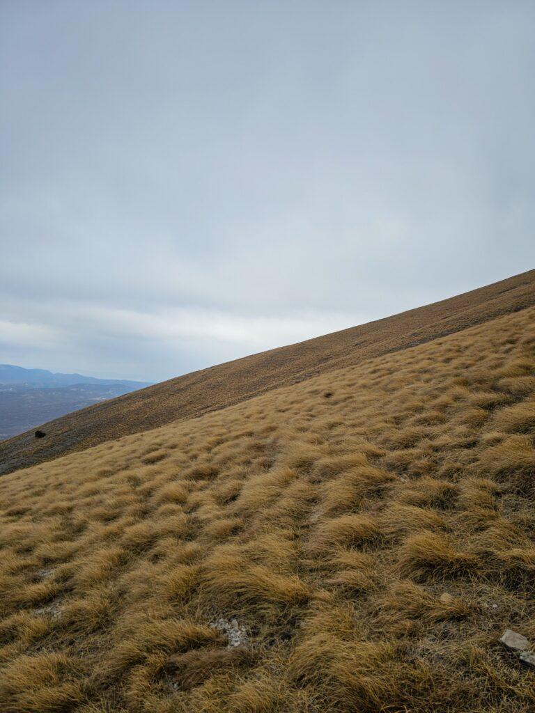 Livade Hahlića 3