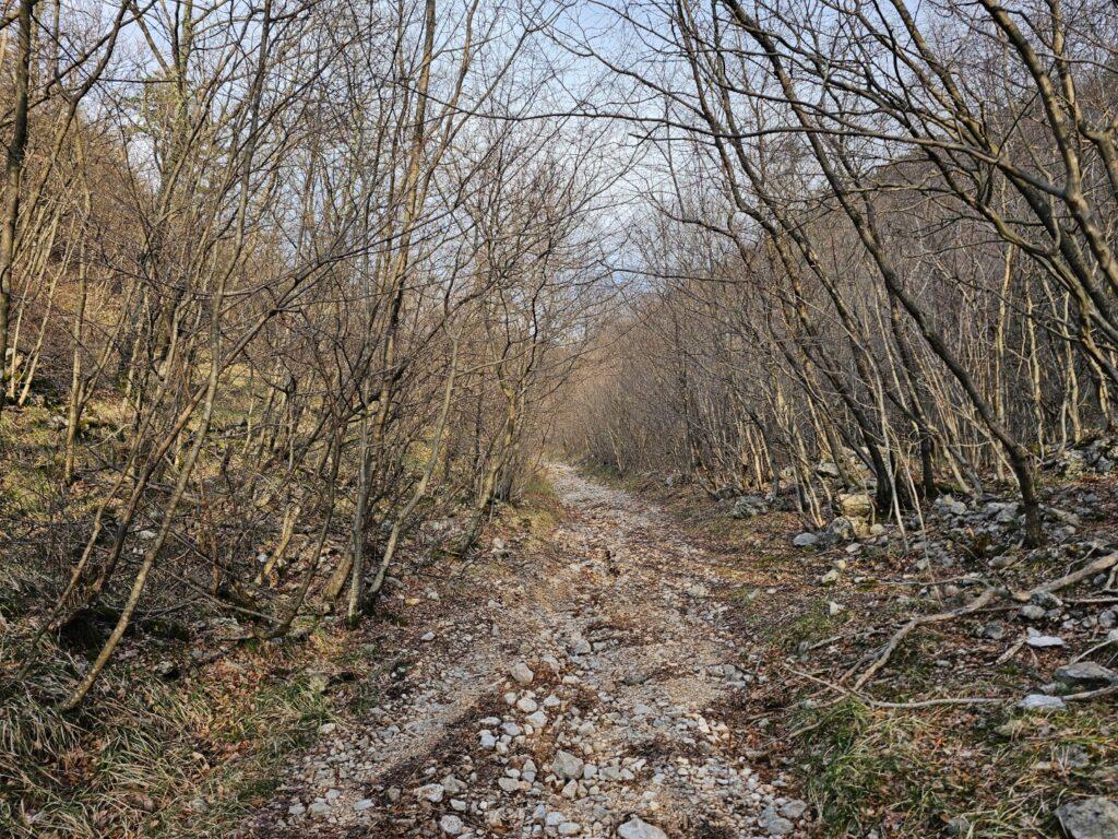 Početak staze Podkilavac Ravno