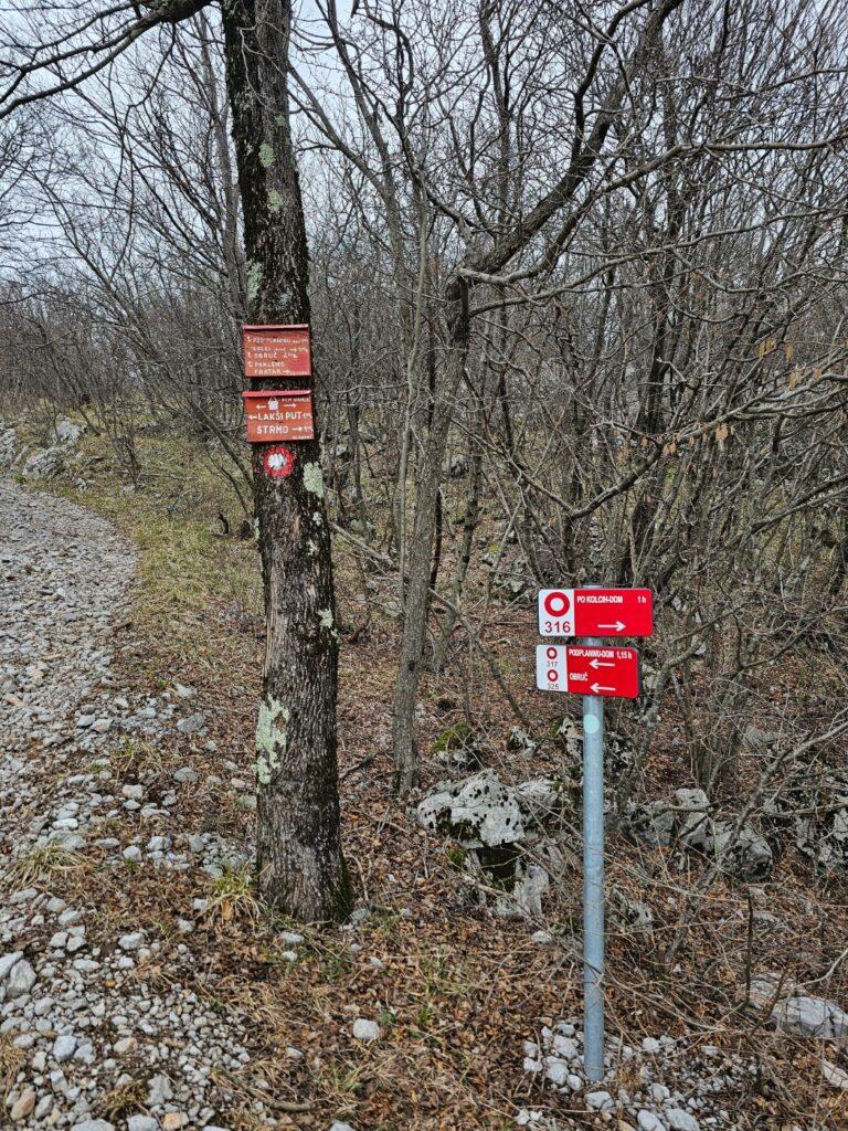 Raskrižje staza Pod planini i Preko Kolci