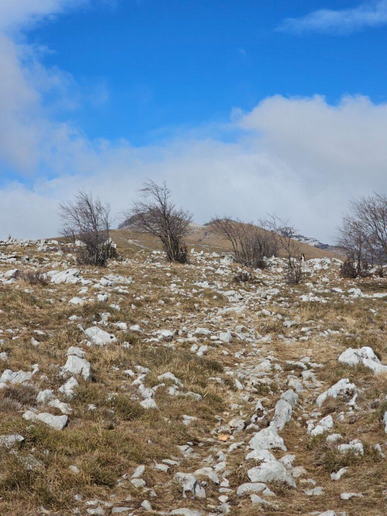 Zadnji pogled na prekrasne livade prije silaska u šumu