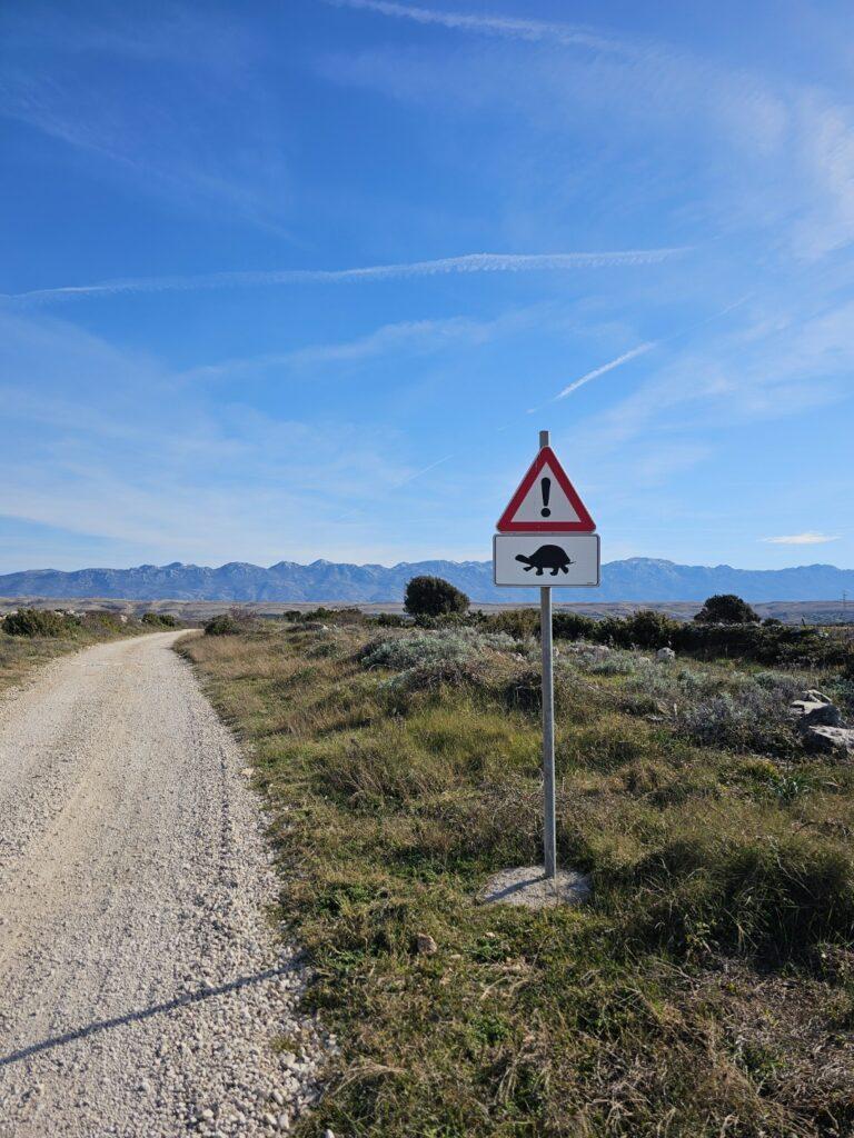 Makadam prema paškim solanama