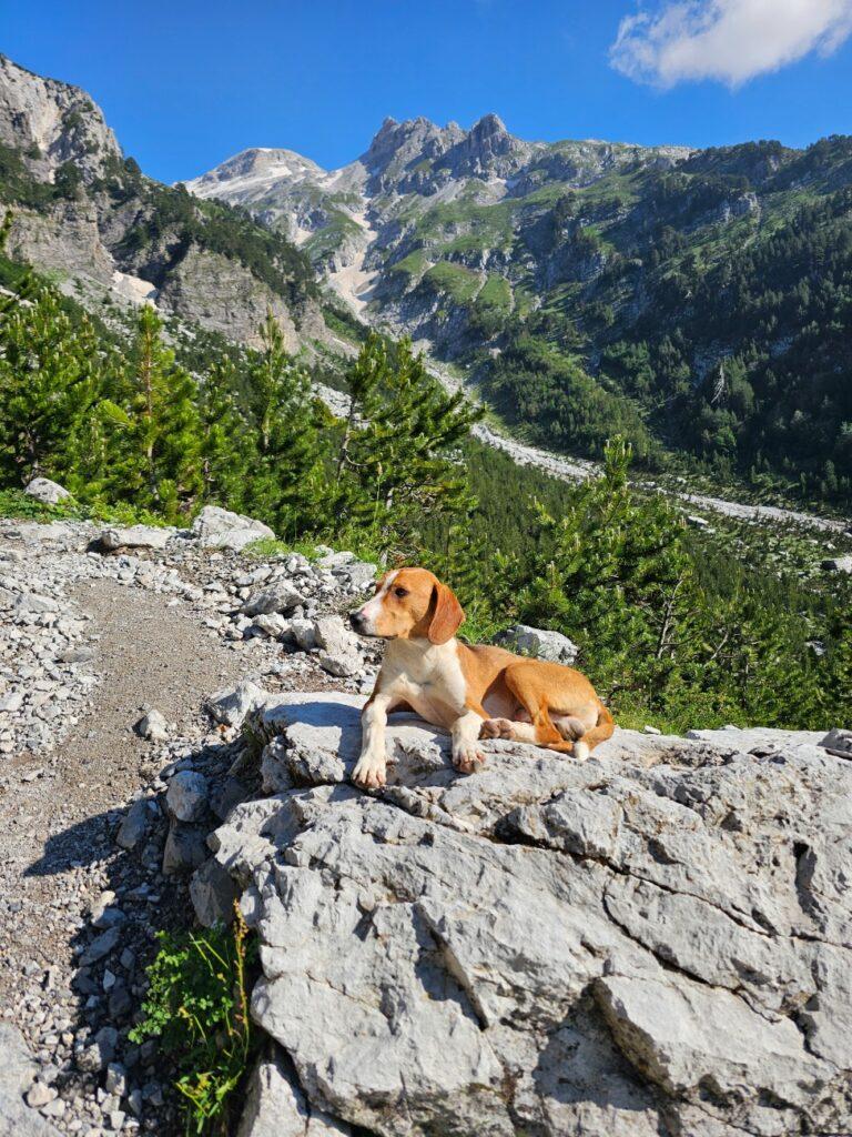 Staza Valbona Theth 2