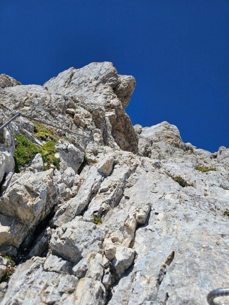 Ferata iznad ljestvi