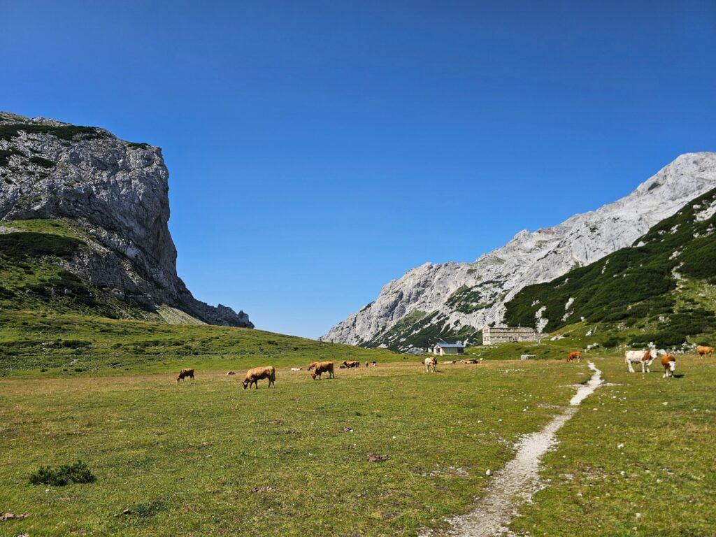 Prekrasna planina Korošica